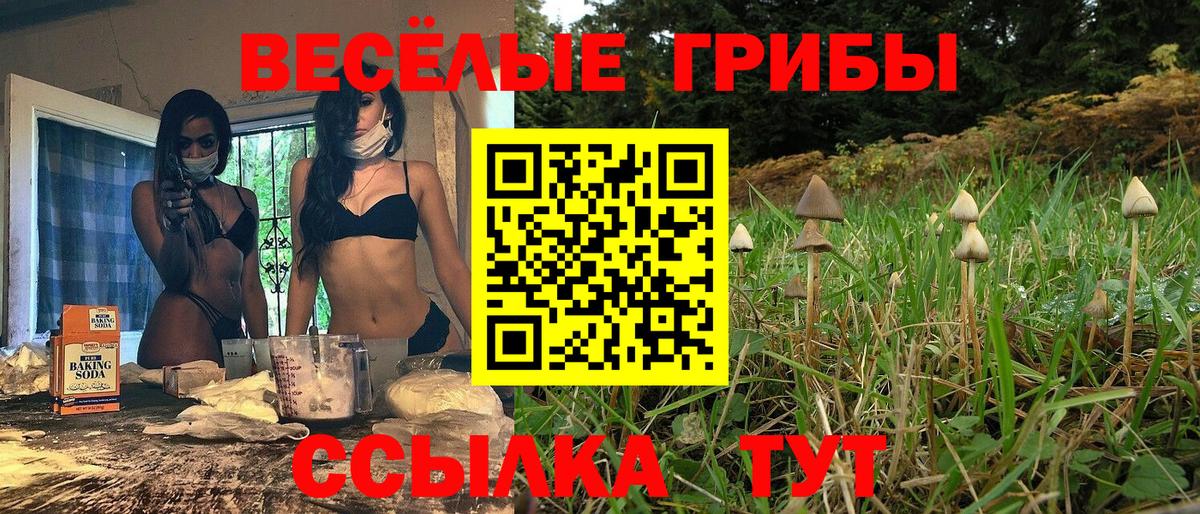 Галлюциногенные грибы Magic Shrooms  Галлюциногенные грибы ЛСД  Вход с VPN  Псков 